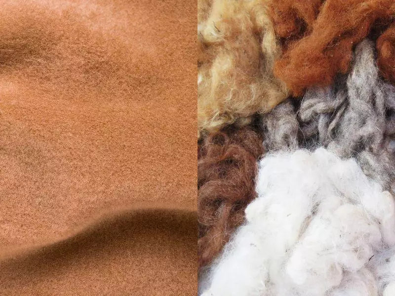 Why cashmere is warmer than wool