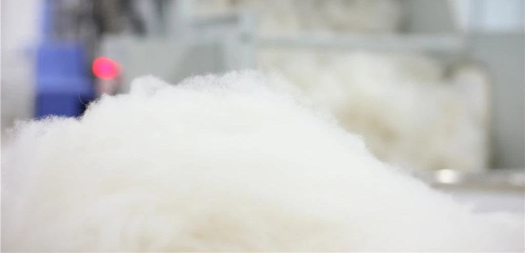 cashmere fiber